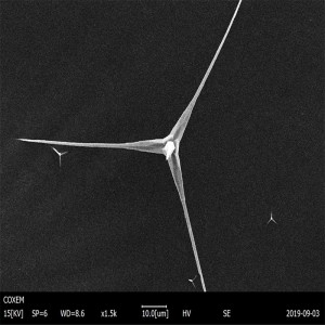 nano material China Tetra-Needle Like Zinc Oxide Whisker