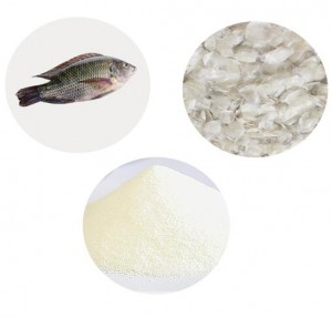 Factory supplied Wholesales Bulk Price Fish Collagen Powder Wholesale, Hydrolyzed Fish Marine Collagen Peptide