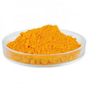 Coenzyme Q10