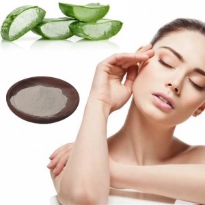 Hot-selling cosmetic ingredient 200: 1 Aloe Vera Gel Freeze Dried Powder