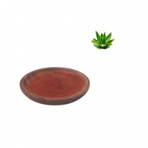 Factory supply China 100% Natural Aloe Vera Extract Aloin