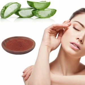 Chinese wholesale Pure Natural Aloe Vera Leaf Extract Aloin Barbaloin for Skincare