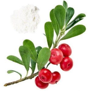 Factory making China SGS Factory Supply Bearberry Extract Powder Alpha Arbutin