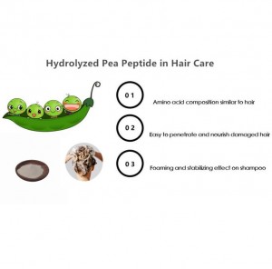 Competitive Price for Non-Animal Bio/Organic Food Additive Hydrolyzed Pea Peptide China Producer