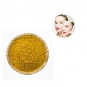 China Cosmetic Grade Yellow Powder Hydroxypinacolone Retinoate Hpr CAS893412-73-2