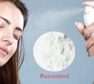 100% Original Factory China Resveratrol CAS 501-36-0