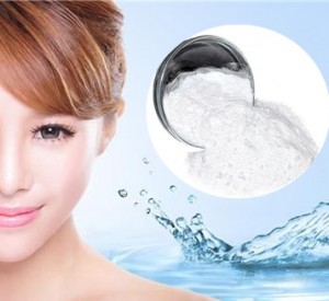 High Quality China Sodium Hyaluronate of Various Molecular Weights for Skin Care Products