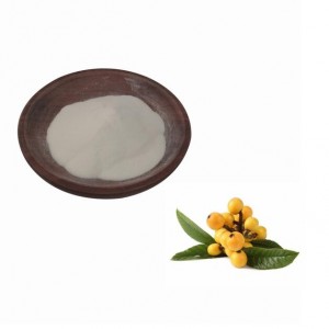 Super Lowest Price CAS 77-52-1 Natural Loquat Leaf Extract Ursolic Acid 10%-25%