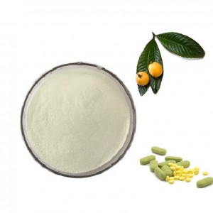 Super Lowest Price CAS 77-52-1 Natural Loquat Leaf Extract Ursolic Acid 10%-25%