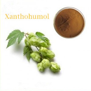 Factory For China 0.4% Flavonoids as Rutoside, 0.02% Xanthohumol, Hops Flower Extract