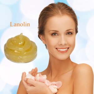 factory Outlets for China Cosmetic Ingredient Anhydrous Lanolin USP Grade CAS 8006-54-0