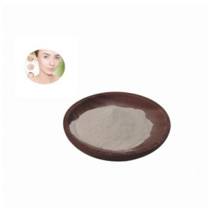 Factory supplied Wholesales Bulk Price Fish Collagen Powder Wholesale, Hydrolyzed Fish Marine Collagen Peptide