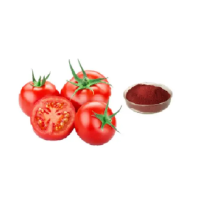 Natural Herbal Extract Cosmetic Antioxidant Lycopene Powder