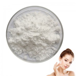 China Skin Care CAS 15454-75-8 Zinc PCA Zinc Pyrrolidone Carboxylate Powder